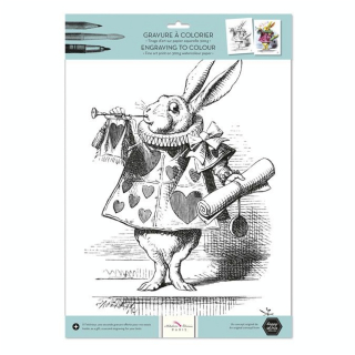 Gravure à colorier 30 x 40 cm 300 g/m² + 100 g/m² The White Rabbit - Alibabette Éditions - Rougier et Plé