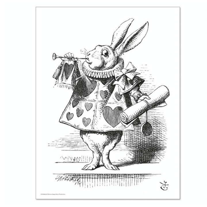 Gravure à colorier 30 x 40 cm 300 g/m² + 100 g/m² The White Rabbit - Alibabette Éditions - Rougier et Plé