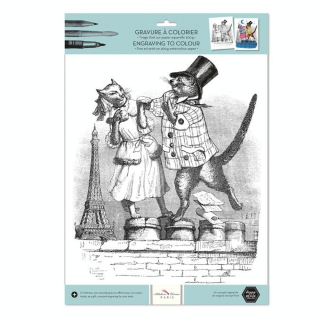 Gravure à colorier 30 x 40 cm 300 g/m² + 100 g/m² Les chats de Paris - Alibabette Éditions - Rougier et Plé