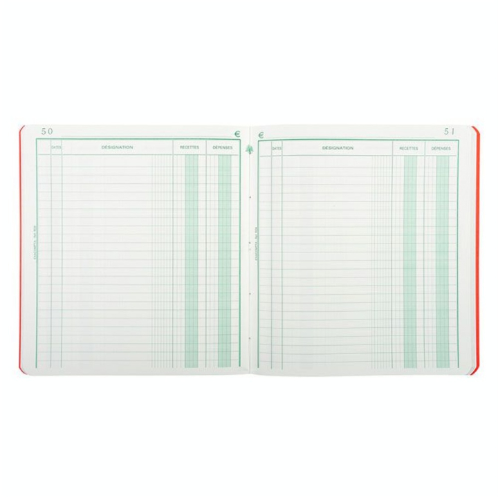Carnet Recettes-Dépenses 80 p 21 x 19 cm - Exacompta - Rougier et Plé