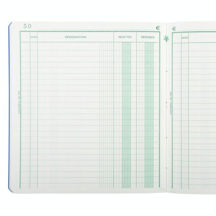 Carnet Recettes-Dépenses 80 p 21 x 19 cm - Exacompta - Rougier et Plé