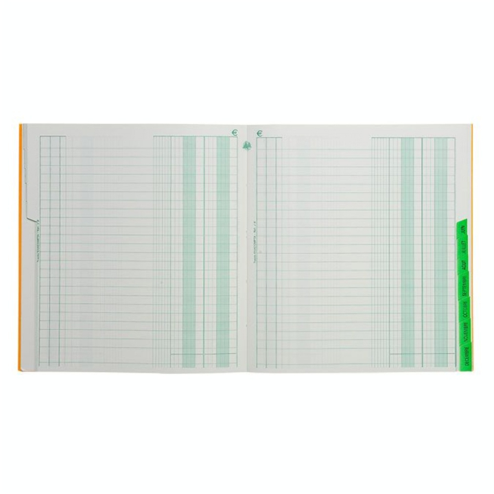 Échéancier tracé journal 80 p 21 x 19 cm - Exacompta - Rougier et Plé