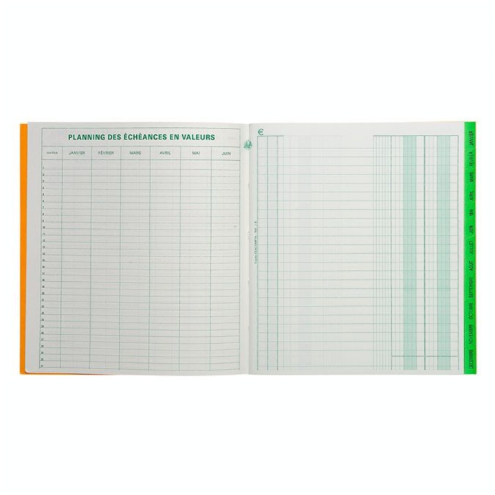 Échéancier tracé journal 80 p 21 x 19 cm - Exacompta - Rougier et Plé