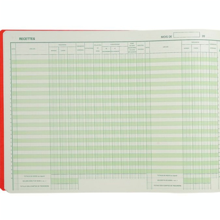 Piqûre 27 x 38 cm Journal des recettes dépenses Associations 80 p - Exacompta - Rougier et Plé