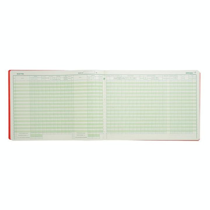 Piqûre 27 x 38 cm Journal des recettes dépenses Associations 80 p - Exacompta - Rougier et Plé
