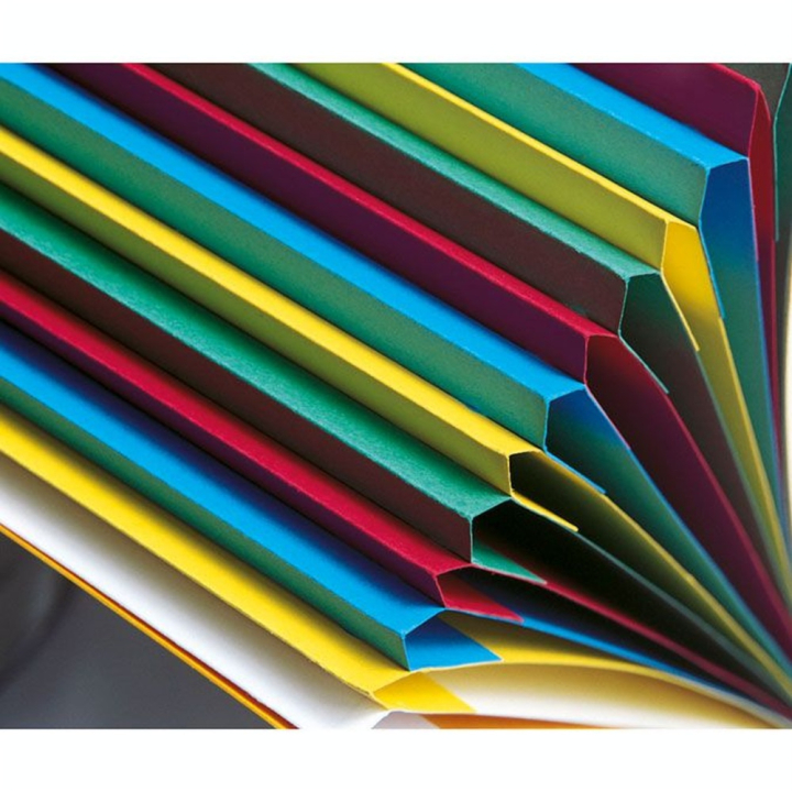 Trieur 24,5 x 32 cm Harmonika à fenêtres 12 compartiments - Exacompta - Rougier et Plé