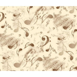 Papier Italien 50 x 70 cm 85 g/m² Note de musique - Esprit Papier - Rougier et Plé