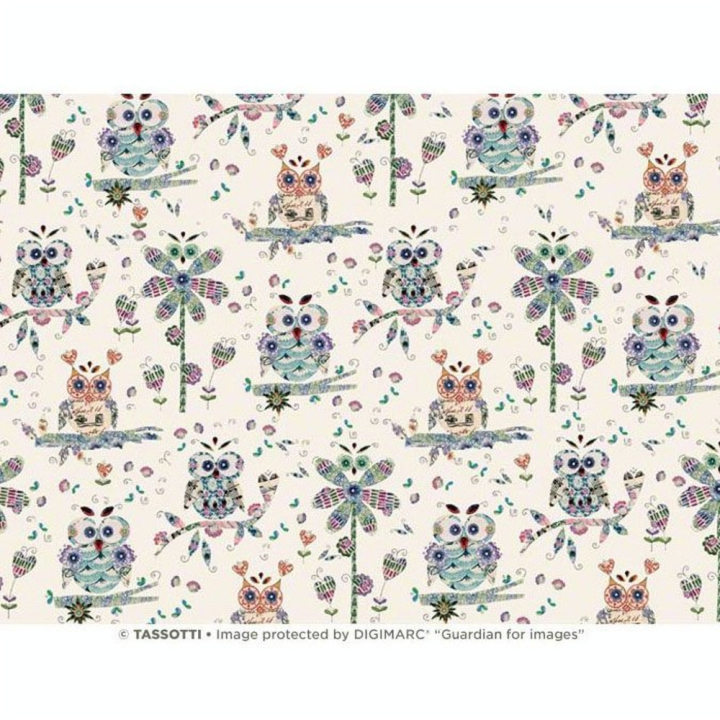 Papier Italien 50 x 70 cm 85 g/m² Hiboux - Esprit Papier - Rougier et Plé