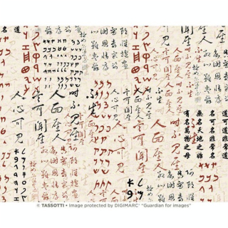 Papier Italien 50 x 70 cm 85 g/m² Écritures orientales - Esprit Papier - Rougier et Plé