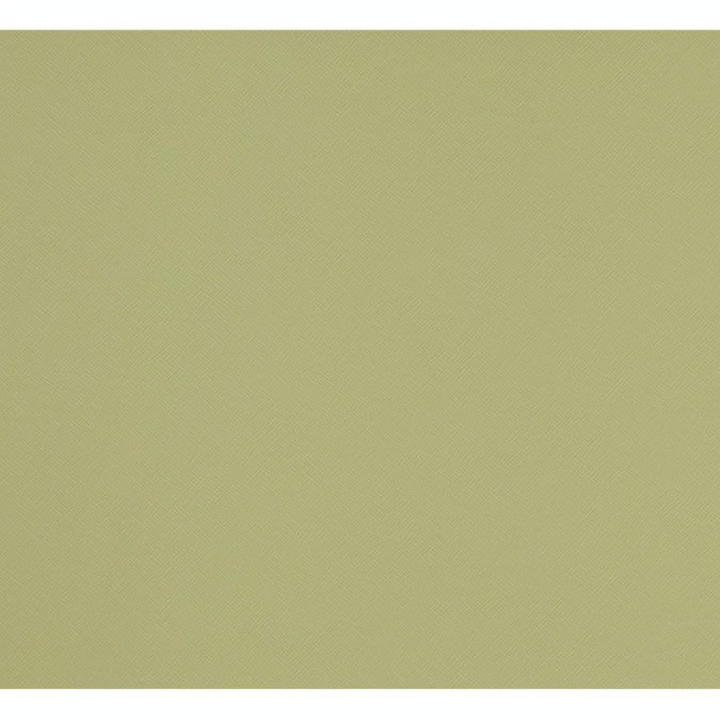 Papier Simili cuir Saffiano 50 x 70 cm 250 g/m² - Esprit Papier - Rougier et Plé