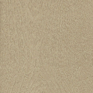 Paper Nature bois 51 x 76 cm 120 g/m² Érable - Esprit Papier - Rougier et Plé