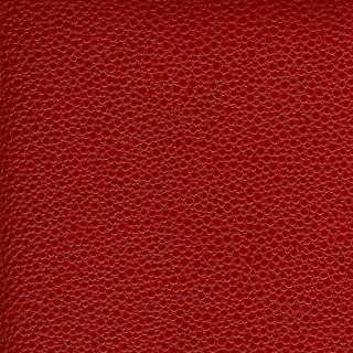 Papier cuir Mallory 68,5 x 50 cm 185 g/m² - Skivertex - Rougier et Plé
