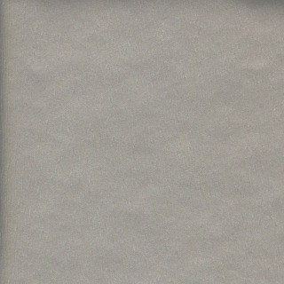 Papier Métal-X 68,5 x 60 cm 170 g/m² Argent brossé - Skivertex - Rougier et Plé