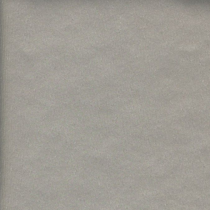 Papier Métal-X 68,5 x 60 cm 170 g/m² Argent brossé - Skivertex - Rougier et Plé