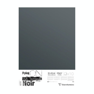 Papier noir Paint'on 50 x 65 cm 10 feuilles 250g/m² - Clairefontaine - Rougier et Plé