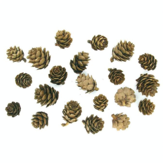 Mini pommes de pin 25 g - CTOP - Rougier et Plé