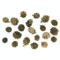 Mini pommes de pin 25 g - CTOP - Rougier et Plé