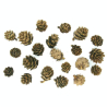 Mini pommes de pin 25 g -...
