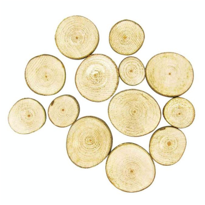 Tranches de bois rond 60 g - CTOP - Rougier et Plé