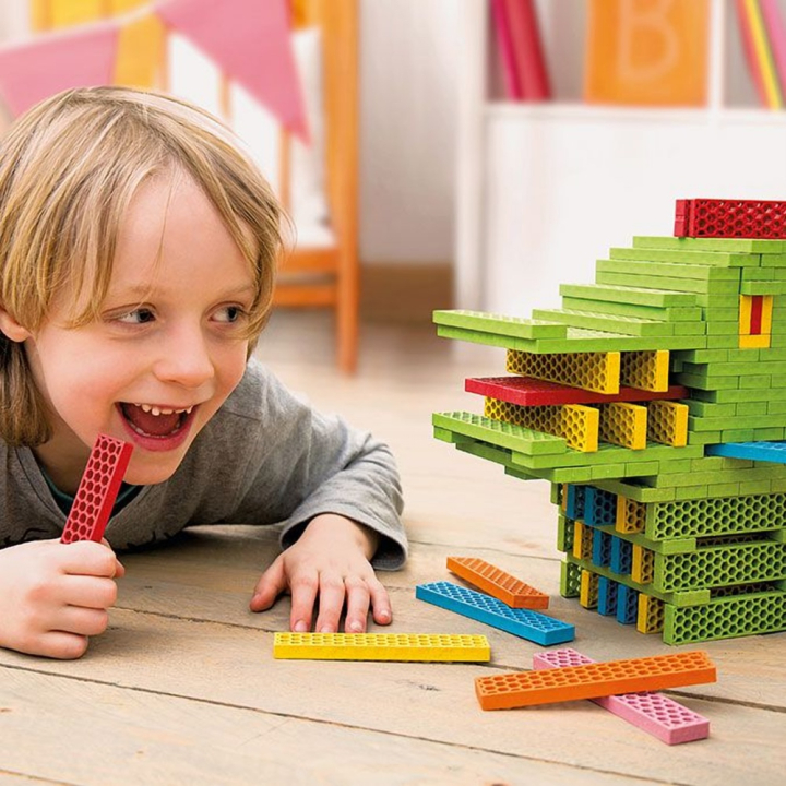 Jeu de construction 100 briques - BioBlo - Rougier et Plé