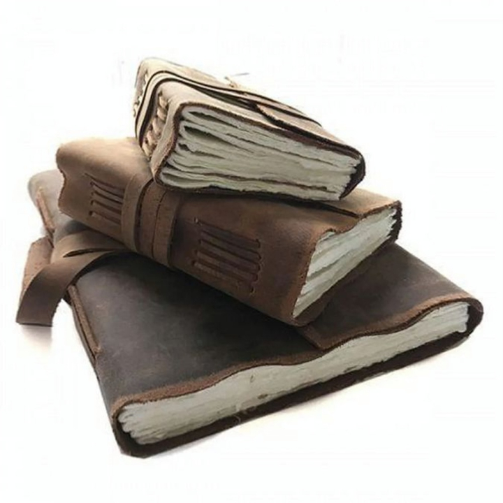 Carnet de voyage Yaatra 180 p - Lamali - Rougier et Plé