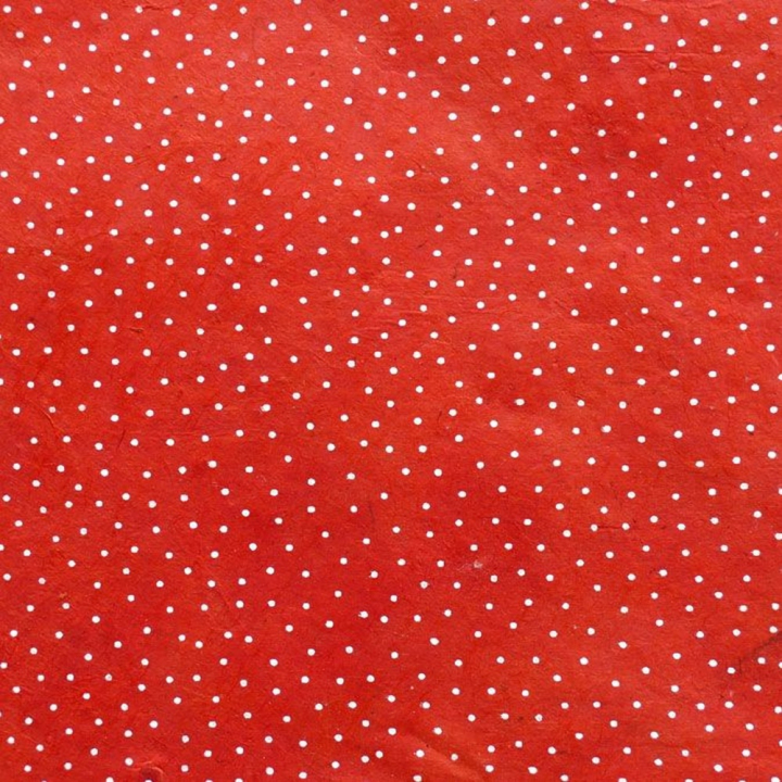 Papier Lokta 50 x 75 cm Rouge & Blanc 1 - Lamali - Rougier et Plé