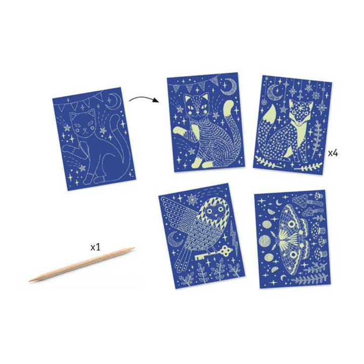 Carte à gratter Dans la nuit - Djeco - Rougier et Plé