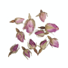 Boutons de rose séchés 7 g...