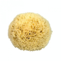 Éponge de mer ultra fine pour le visage 10 cm - My Cosmetik - Rougier et Plé