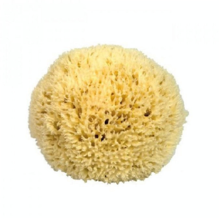 Éponge de mer ultra fine pour le visage 10 cm - My Cosmetik - Rougier et Plé