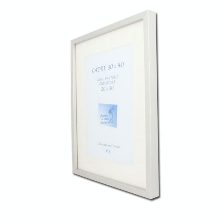 Cadre Carla MDF décor Aluminium 30 x 40 cm + Passe-partout 20 x 30 cm - Rougier&Plé - Rougier et Plé