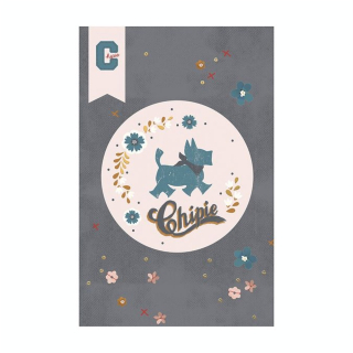 Agenda 2022-2023 Chipie Magic 12 x 17 cm - Oxford - Rougier et Plé