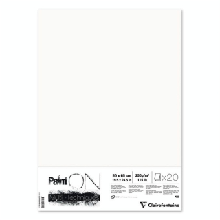 Papier Paint'On Blanc 50 x 65 cm 250 g/m² Rame 20 feuilles - Clairefontaine - Rougier et Plé