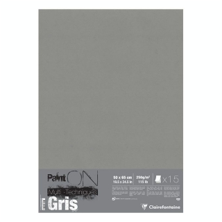 Papier Paint'On Gris 50 x 65 cm 250 g/m² Rame 15 feuilles - Clairefontaine - Rougier et Plé