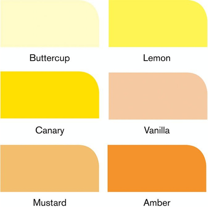 Marqueur Promarker Set Jaunes - Winsor & Newton - Rougier et Plé
