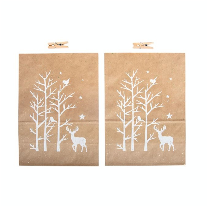 Sacs en papier avec des pinces en bois 2 pcs - Rayher - Rougier et Plé