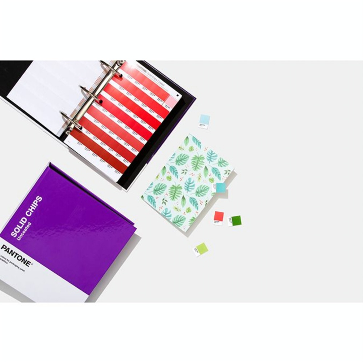 Nuancier Solid Chips Coated & Uncoated - Pantone - Rougier et Plé