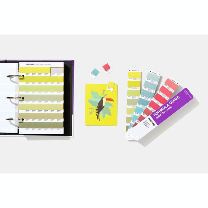 Nuancier Solid Color Set - Pantone - Rougier et Plé