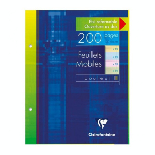 Feuillet mobile Couleurs grands carreaux Séyès 17 x 22 cm 100F - Clairefontaine - Rougier et Plé