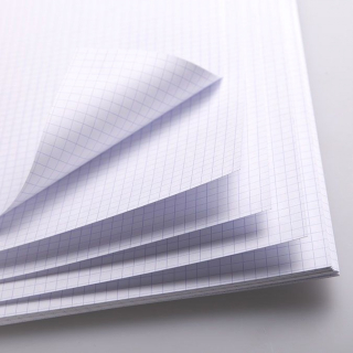 Papier bristol blanc quadrillé Q5x5 50 x 65 cm 205 g/m² - Clairefontaine - Rougier et Plé