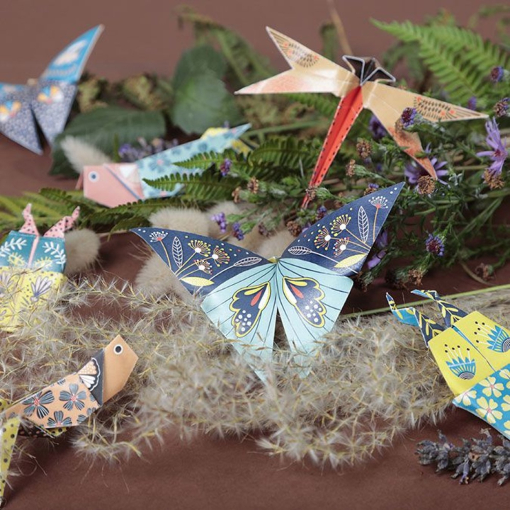 Kit origami Insectes 60 feuilles 3 formats - Clairefontaine - Rougier et Plé