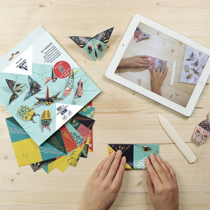 Kit origami Insectes 60 feuilles 3 formats - Clairefontaine - Rougier et Plé