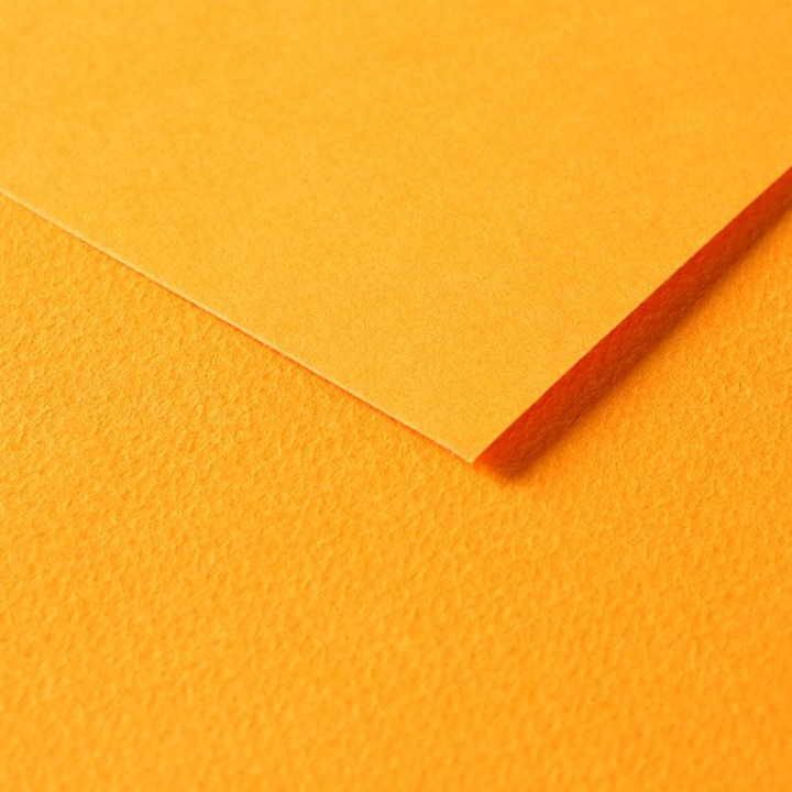 Papier Tulipe 160 g/m² 50 x 65 cm - Clairefontaine - Rougier et Plé