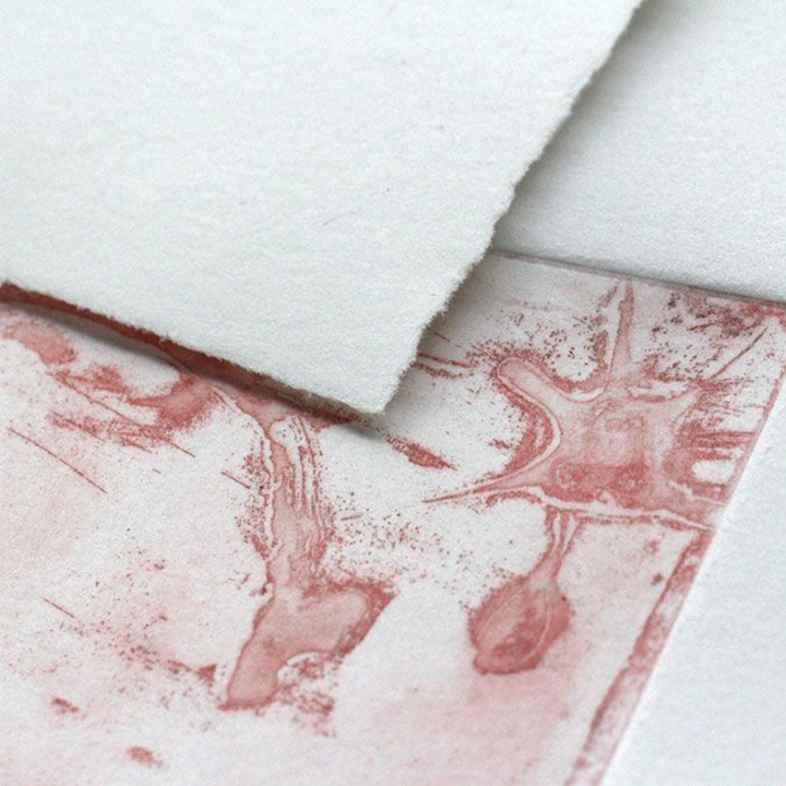 Papier impression Fleur de coton 250 g/m² - Clairefontaine - Rougier et Plé