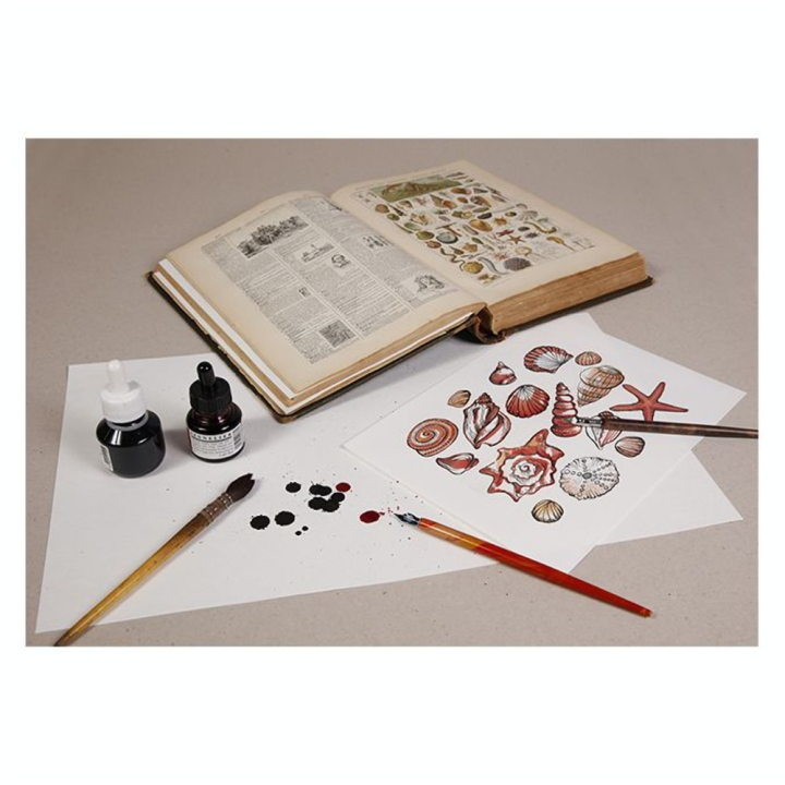 Papier buvard blanc 250 g/m² 50 x 65 cm - Clairefontaine - Rougier et Plé