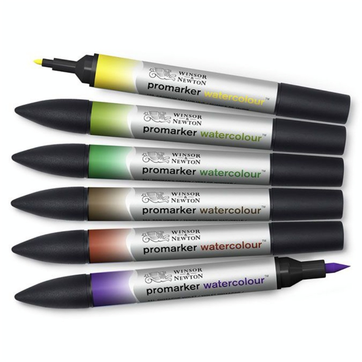 Marqueur d'aquarelle double pointe Set tons Feuillage 6 pcs - Winsor & Newton - Rougier et Plé