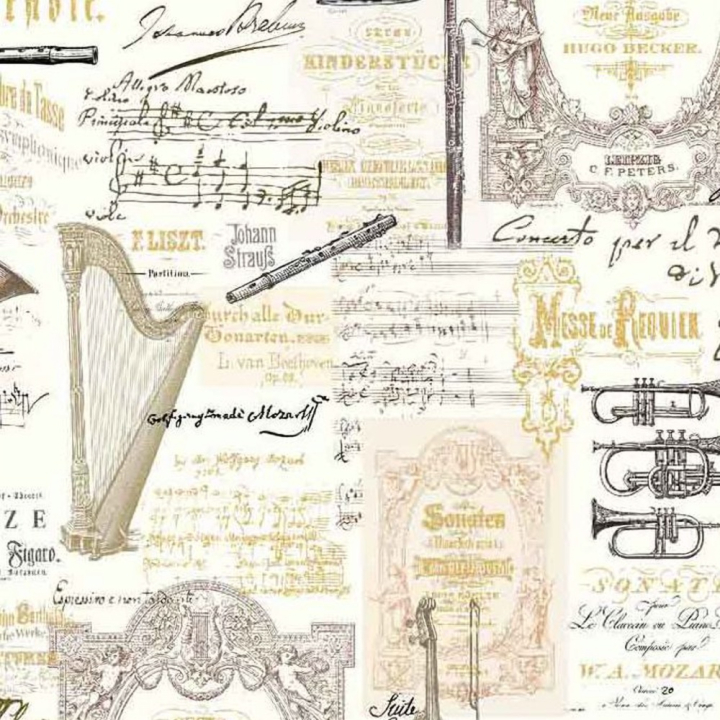 Papier italien 50 x 70 cm 85 g/m² Musique - Esprit Papier - Rougier et Plé