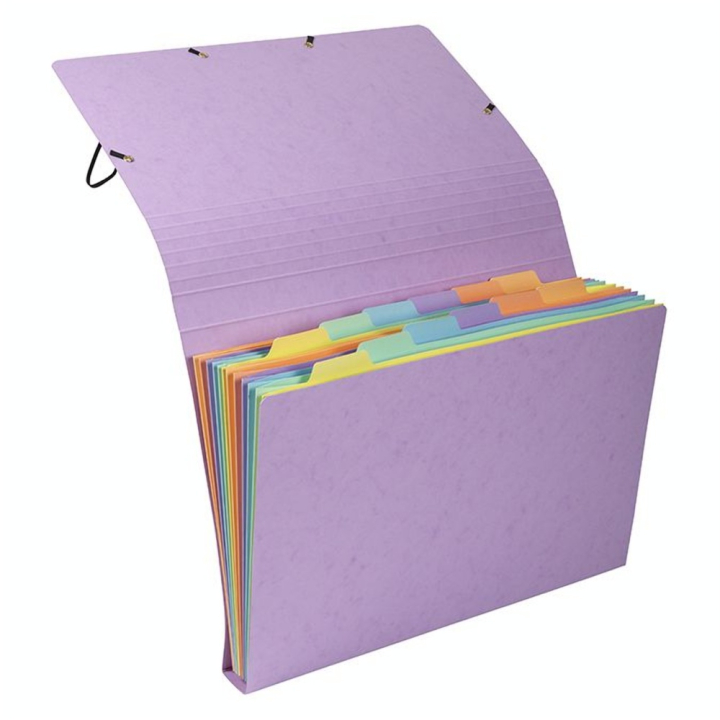 Pochette trieur carte multicolore 12 compartiments Aquarel 34 x 24,5 cm - Exacompta - Rougier et Plé