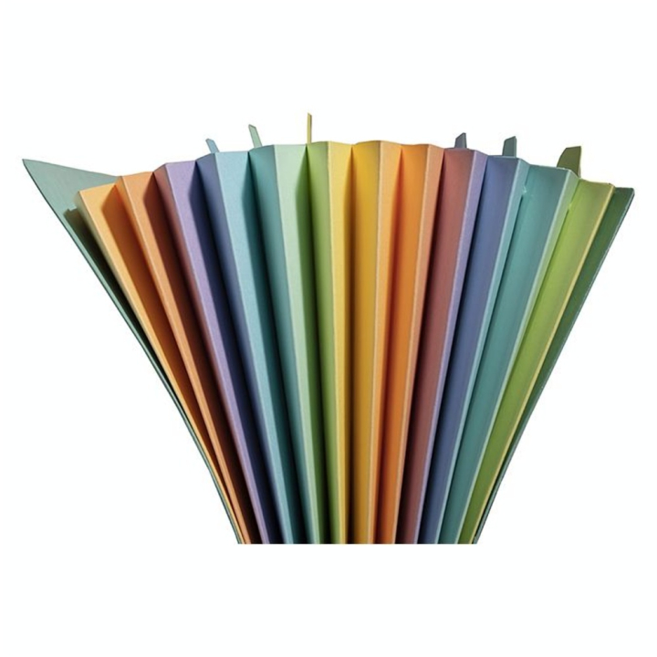 Pochette trieur carte multicolore 12 compartiments Aquarel 34 x 24,5 cm - Exacompta - Rougier et Plé