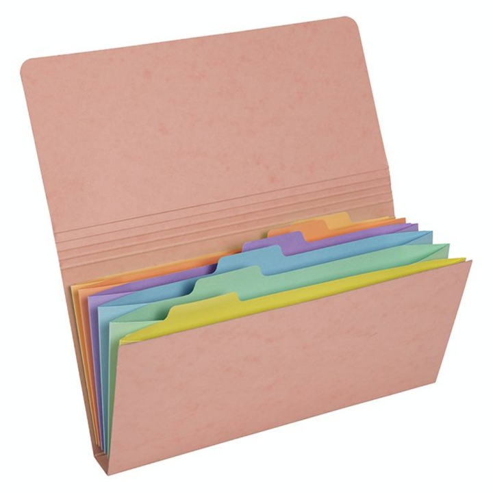 Pochette trieur carte multicolore 6 compartiments Aquarel 26 x 13 cm - Exacompta - Rougier et Plé